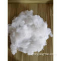 Fibre de base en polyester recyclé (PSF) blanc brut 1.4D